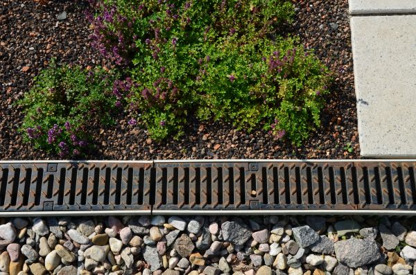 Cost of Drainage Installation Service in Bellevue