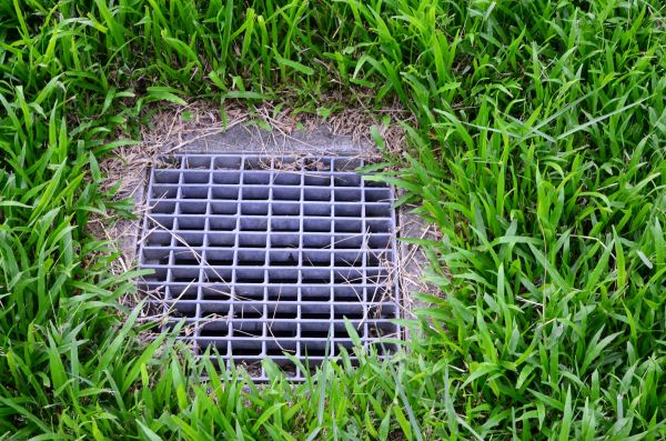 Cost of Yard Drainage Service in Bellevue