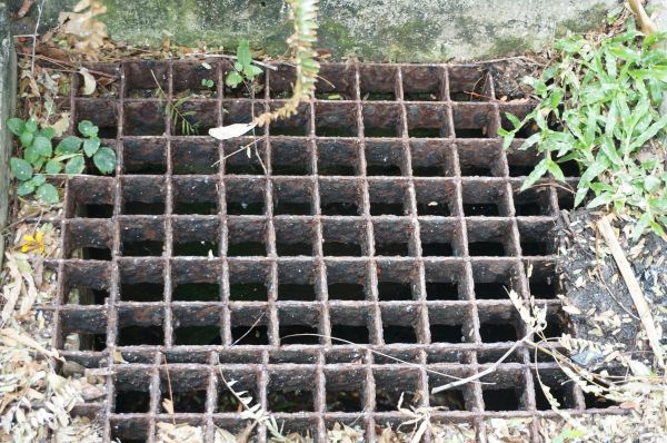 Yard Drain Cleaning in Bellevue