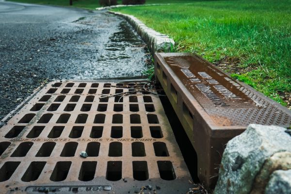 Storm Drain Repair in Bellevue