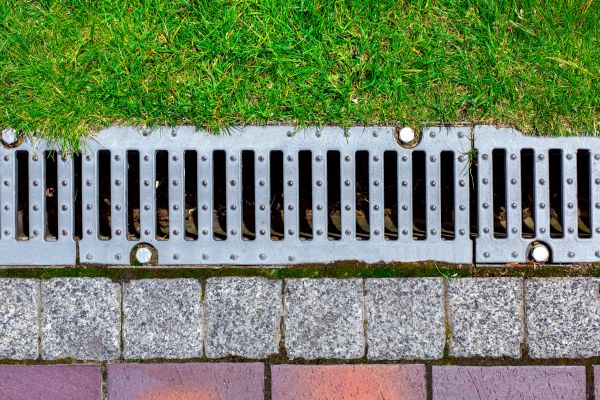 Rainwater Management in Bellevue