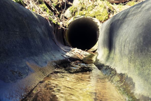 Cost of Drainage Swale Installation in Bellevue