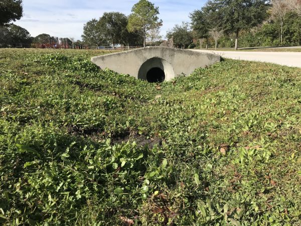 Swale Drainage Service in Bellevue